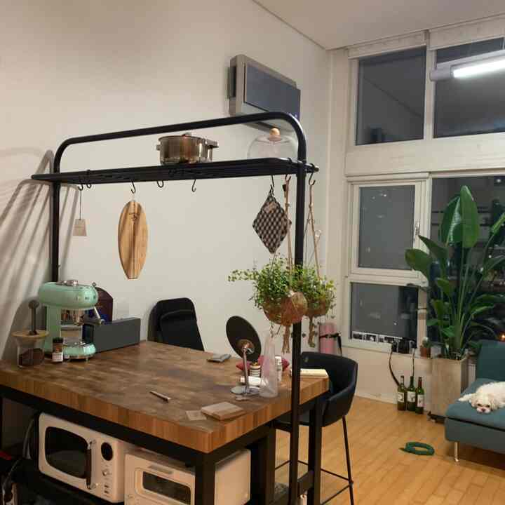 Natural wood-toned kitchen island with mint coffee machine and cozy living room featuring a pet dog
