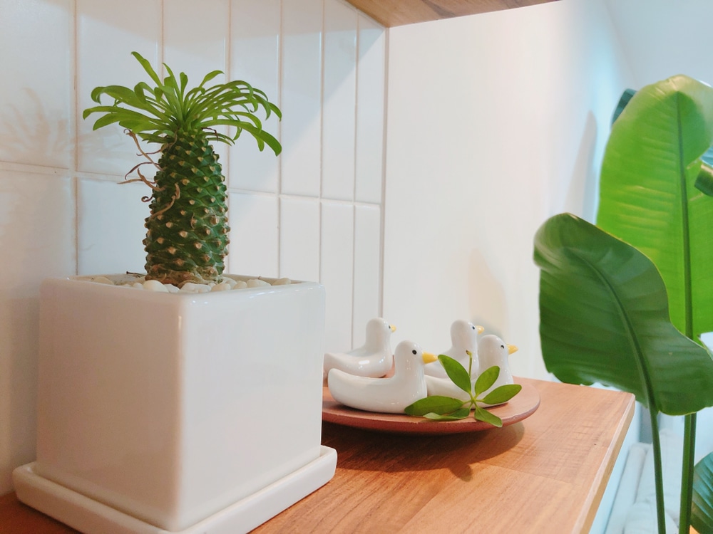 Duck Family Spoon Rest Set (6-Piece) user photo