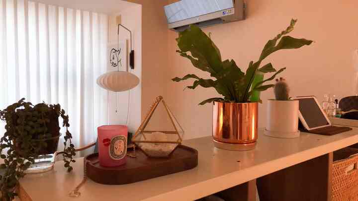 Natural tone living room bookshelf top featuring various plants, candle, and tray creating a cozy space