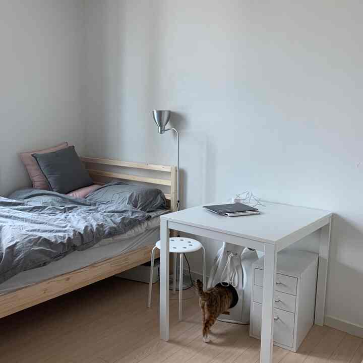 White-walled bedroom with natural wood bed frame, simple desk, and a cat tunnel in a single household setting
