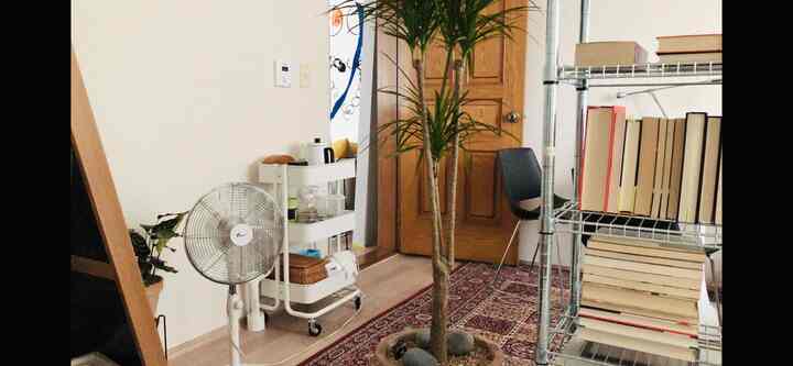 White and brown toned studio apartment featuring a trolley, metal shelving, indoor plant, and rug creating a natural atmosphere