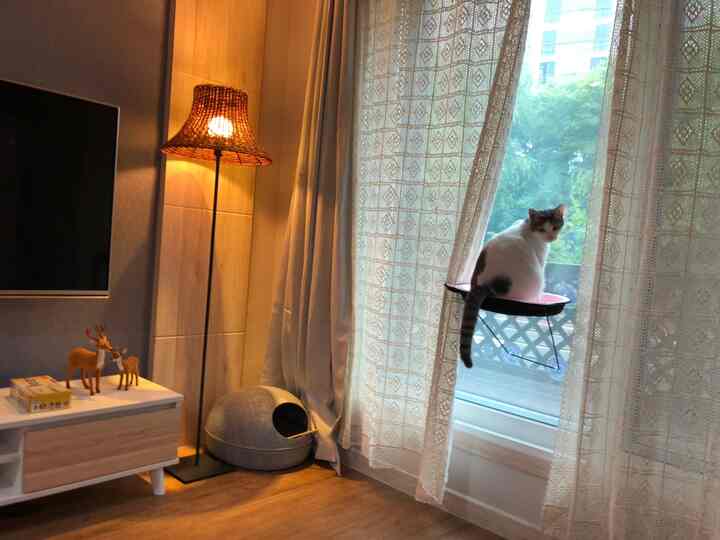 Natural living room with warm wood tone floor, rattan lamp, beige lace curtains, and a cozy space for a pet cat