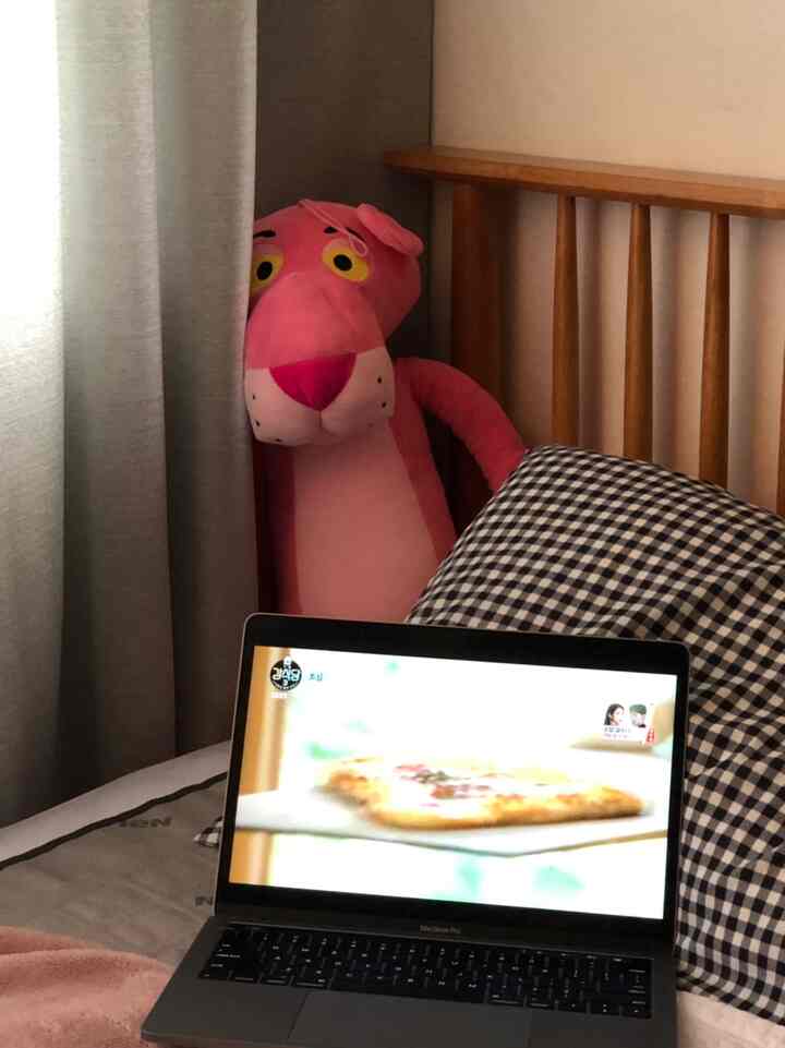 Gray-toned bedroom with natural light, featuring a wooden bed, checkered bedding, and a laptop creating cozy atmosphere