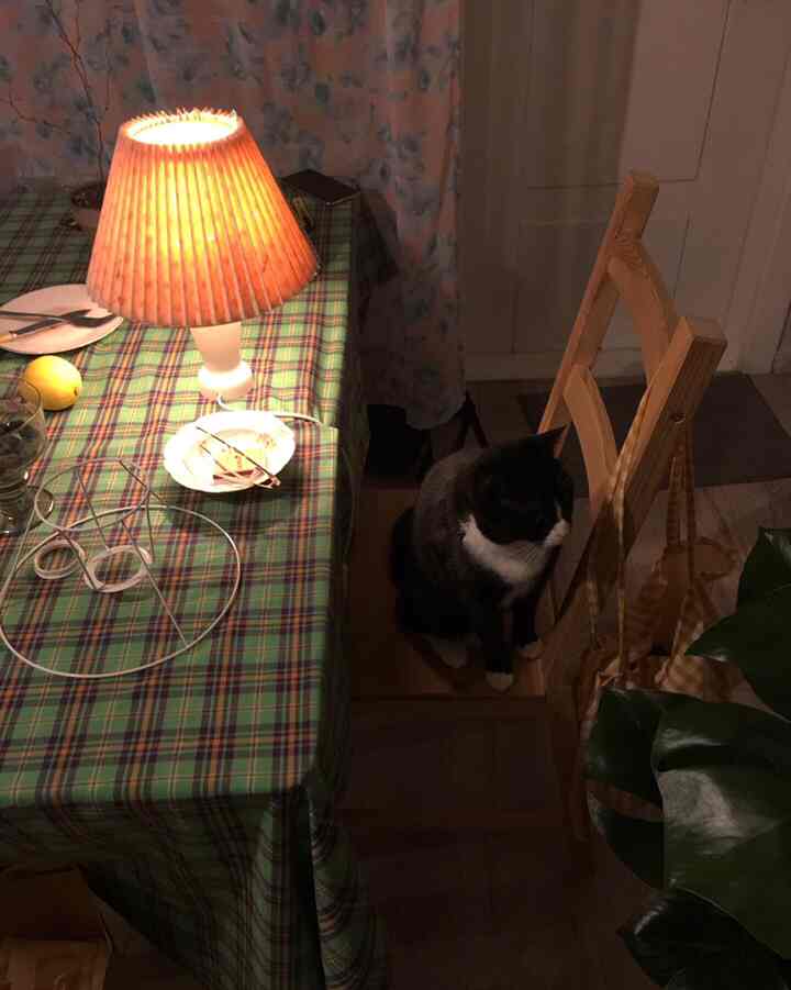 Cozy dining area featuring a green plaid tablecloth-covered table, wooden chair with a black cat sitting on it, under warm table lamp light