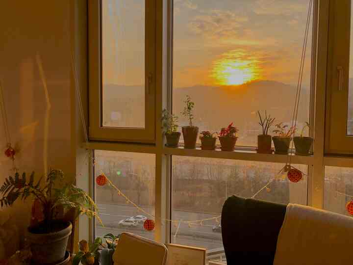 温かみのあるナチュラルカラーのリビング、窓辺に植物とストリングライトが配置された夕焼けの雰囲気ある空間