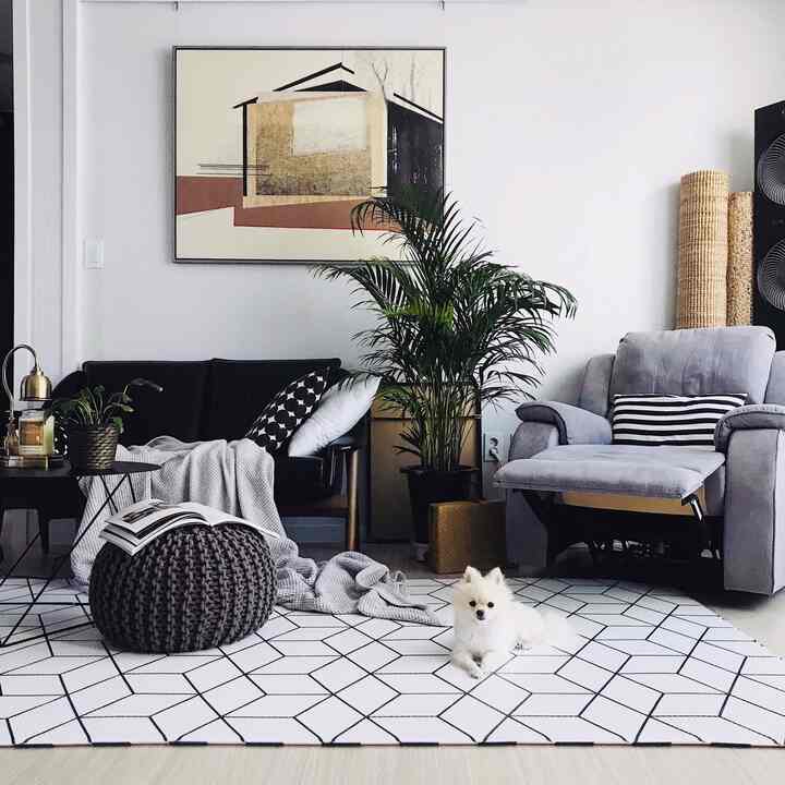 Modern and cozy living room in white and gray tones featuring black sofa, gray recliner, areca palm plant, and a small dog comfortably lying on geometric rug