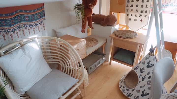 Natural-toned studio relaxation space featuring a bunk bed, rattan armchair, and pet house creating a cozy atmosphere