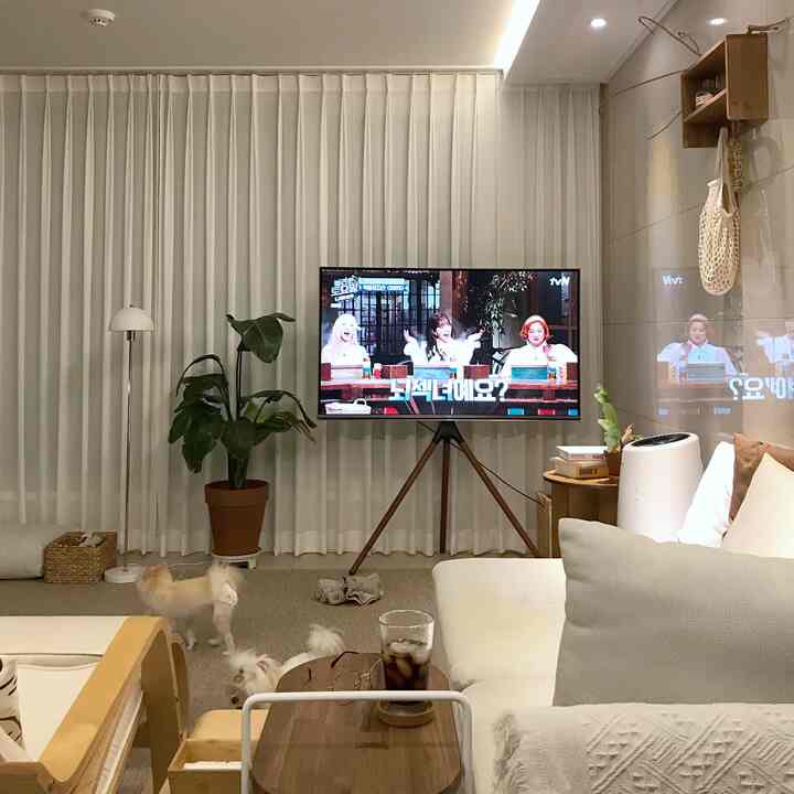 明るいベージュとホワイトのトーンのリビング、中央にテレビスタンドとソファが配置され、ラグの上に2匹の犬がいる印象的な空間