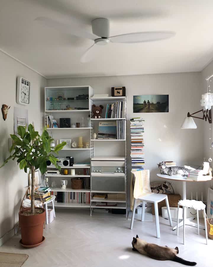 White-tone living room featuring a large plant, bookshelf, and two cats creating a cozy atmosphere