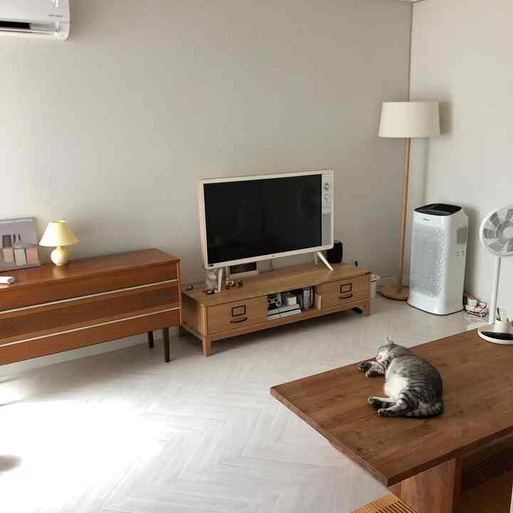 White and wood-toned living room featuring a TV stand and a cat lying on the table, creating a cozy atmosphere