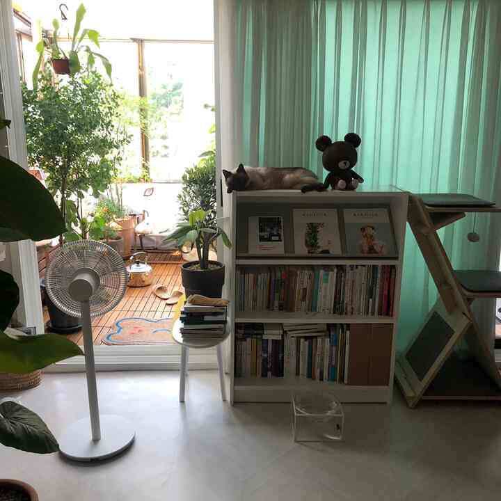 White and natural tone living room connected to veranda, cozy space with bookshelf, cat, and cat tower