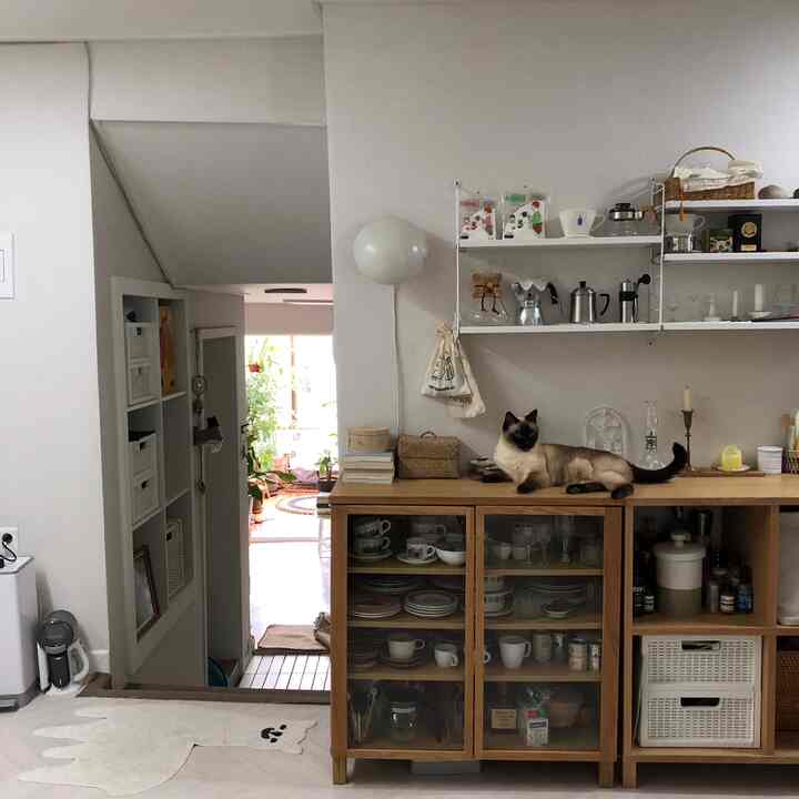 White walls and wood-tone cabinet in kitchen space featuring a relaxed cat lying on the cabinet, creating a natural atmosphere