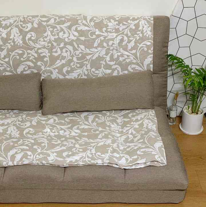 Brown and beige toned studio apartment living room featuring a sofa bed and a green plant creating a cozy atmosphere