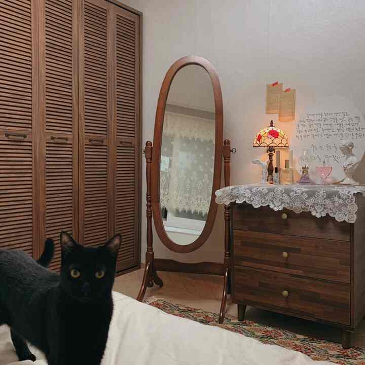 Natural wood-tone vintage bedroom featuring a large full-length mirror and a black cat in a cozy setting