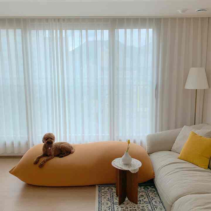 明るいベージュとオレンジの色調のリビング、中央にオレンジのビーズクッションとその上に寝そべる犬、白いカーテンとソファが配置されたシンプルな空間