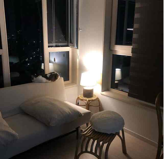 A warm-lit white tone living room with a cat resting on the sofa back, featuring natural and modern elements