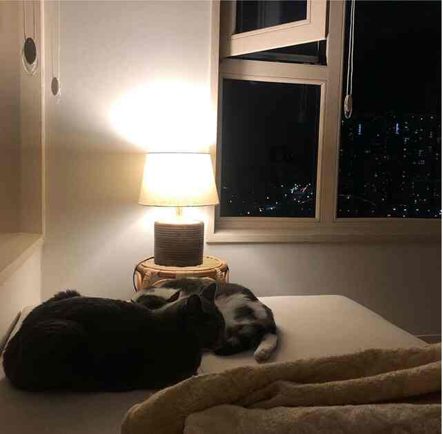 Beige natural-toned small bedroom featuring a folding sofa bed and lamp, cozy space with city night view through window