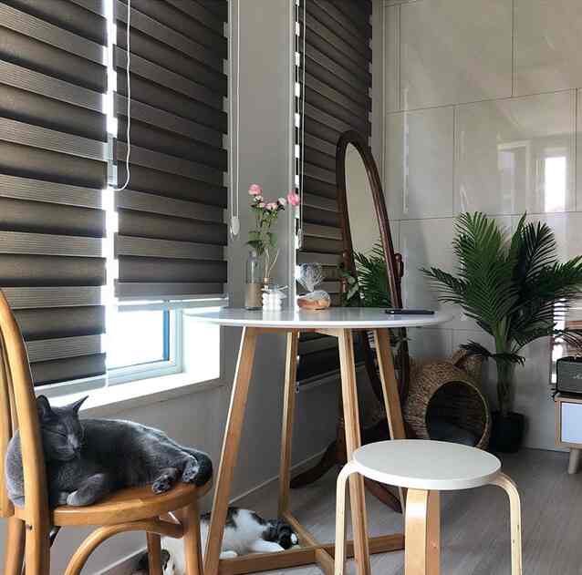 Natural tone living room with wooden furniture and cats creating a cozy atmosphere