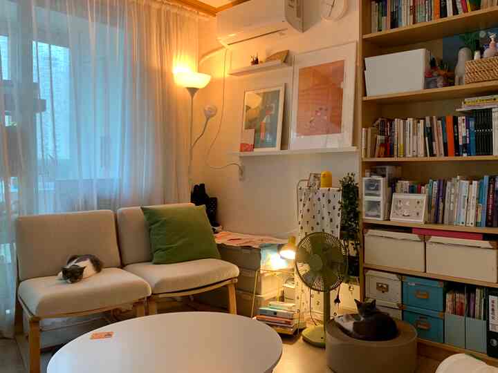 Natural toned, warmly lit living room for cat owners featuring sofa and bookshelf with a cozy atmosphere