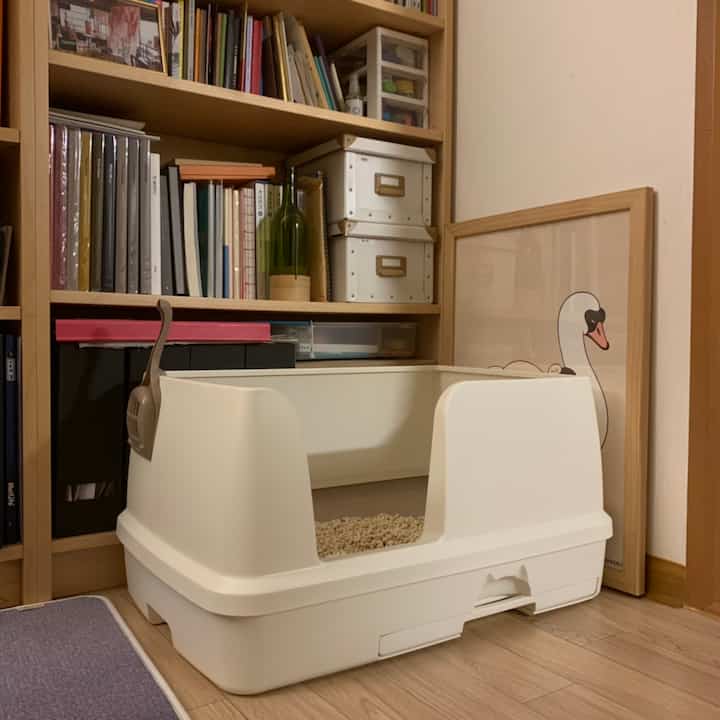 Beige and natural tone restroom featuring a litter box placed next to a bookshelf, creating a cozy atmosphere
