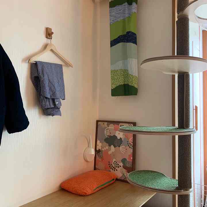 Natural-toned small room featuring a wooden desk, wall-mounted coat hanger, and a cat tower with cozy atmosphere
