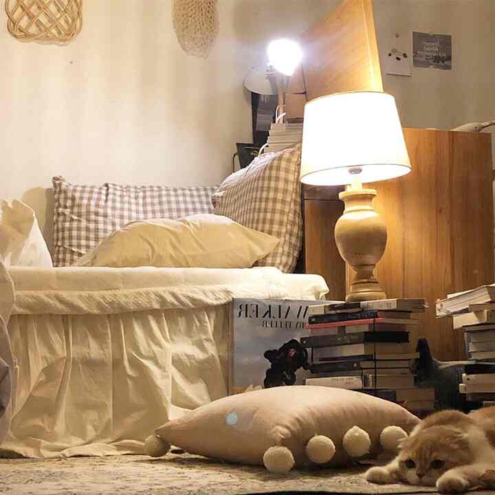 Warm beige bedroom featuring a sofa with checkered cushions and rug, complemented by a wooden table lamp creating a cozy atmosphere