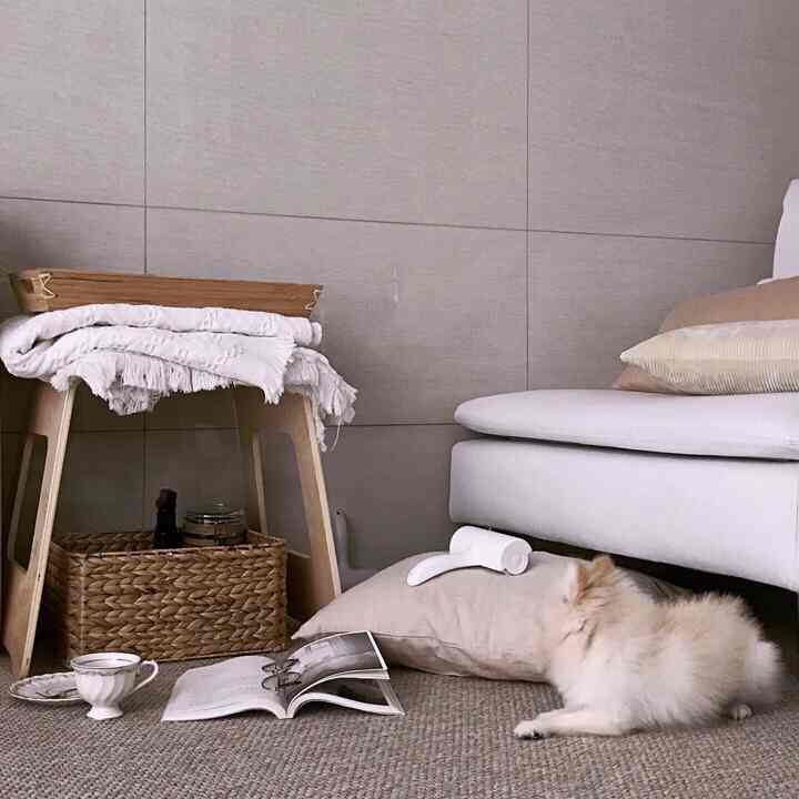 Soft beige-toned living room featuring a white sofa, wooden stool, small dog, and rattan decor creating a cozy atmosphere
