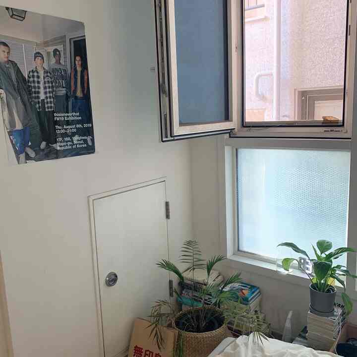 Bright white small room with open windows, featuring green plants and stacked books in the corner, creating a natural atmosphere