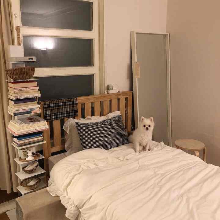 Natural tone studio bedroom with white bedding and wooden bed, featuring a dog on the bed, full-length mirror, and bookshelf in a cozy arrangement