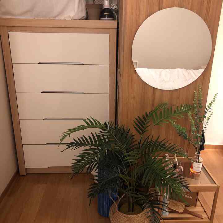 Natural wood tone and white closet space featuring a round mirror and lush plants creating a cozy interior