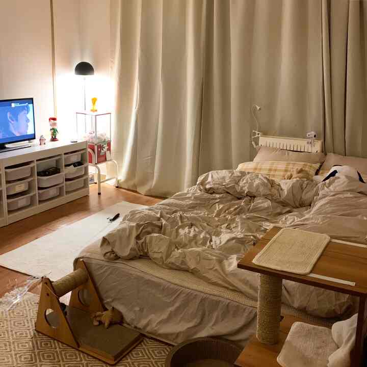 ベージュの色調の寝室、ベッドとカーテン、キャットタワーが配置された雰囲気のあるインテリア