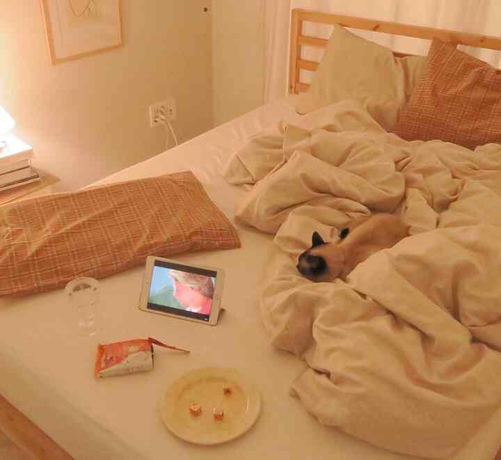 ベージュトーンのナチュラルな寝室、チェック柄の枕と猫がいる居心地の良い空間