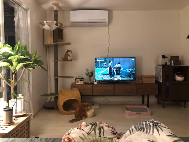 A white-toned living room featuring natural wood furniture, a cat tower, and a cat near a pet house, creating a cozy atmosphere