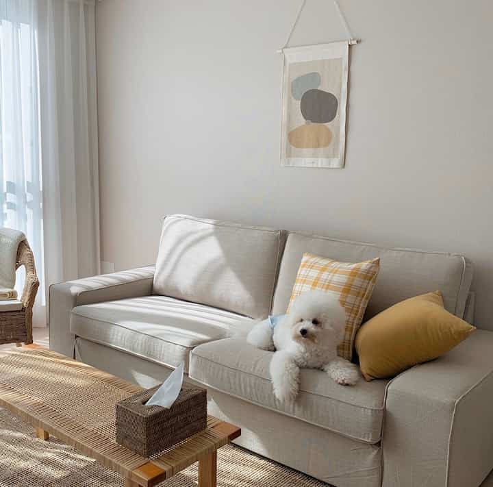 A beige living room with natural sunlight, rattan furniture and cushions, featuring a white dog lounging on the sofa, creating a cozy atmosphere