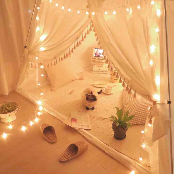 Natural tone and wood-tone cozy winter living space featuring a heating tent and string lights, with a cat sitting centrally