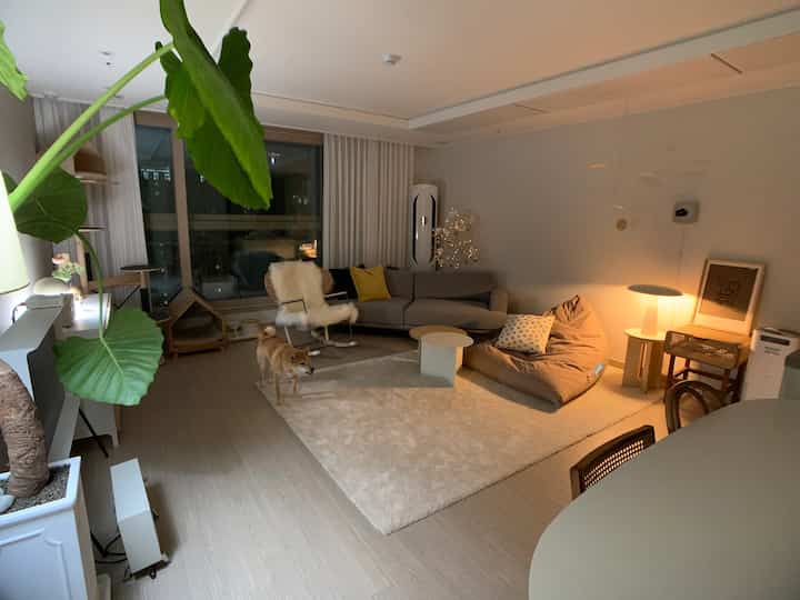 Cozy living room in warm beige and wood tones featuring sofa, bean bag, dog, and large green plant