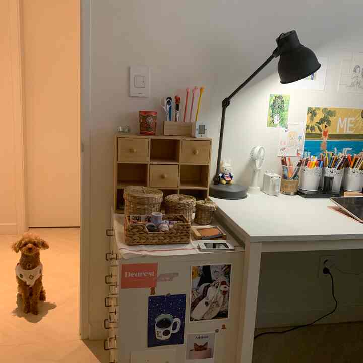 Natural and tidy study space with white walls and desk, featuring rattan storage baskets and a dog sitting on the floor