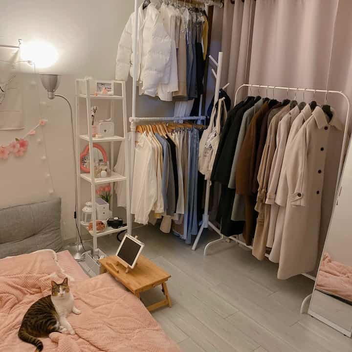 White-walled bedroom with pink bedding featuring a cat on the bed, two clothing racks and a white shelf in a cozy single household space