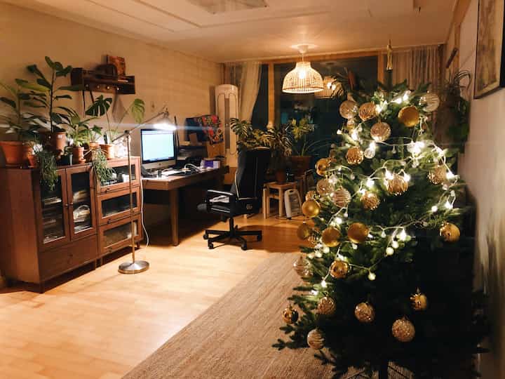 Natural wood tone home office featuring a decorated Christmas tree, numerous plants, and warm lighting in a cozy room