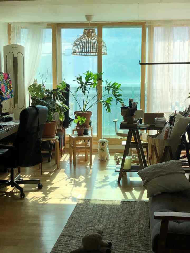 ナチュラルなウッドトーンと植物が調和したリビング、窓辺に犬が座る穏やかな空間