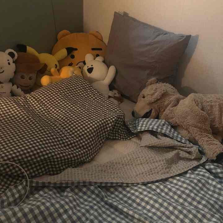 ベージュトーンの壁とチェック柄の掛け布団カバーがある小さい寝室、犬のぬいぐるみと複数のキャラクター人形が並ぶ印象的な空間