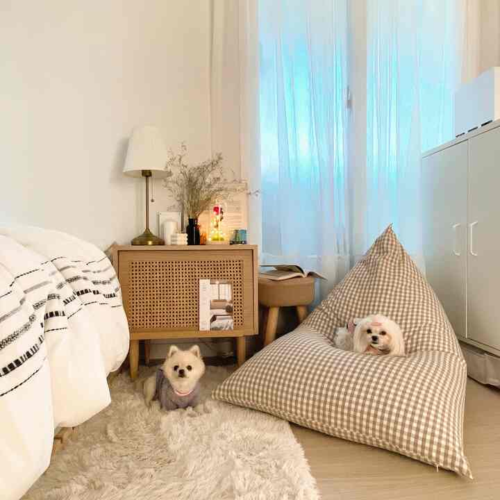 White and beige toned bedroom featuring a bean bag with a dog and wooden nightstand, creating a cozy atmosphere