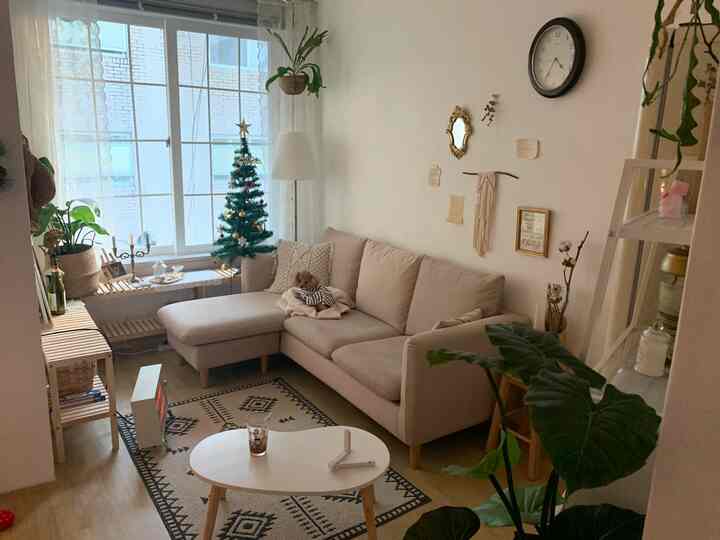 Cozy living room in beige and natural tones featuring a dog on sofa and a decorated Christmas tree