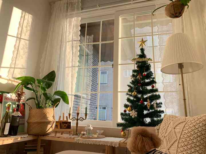 温かみのあるナチュラルカラーと木目調が調和するリビング、クリスマスツリーとペットの犬がいる落ち着いた空間