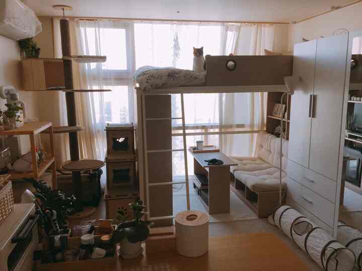 An 8-pyeong studio featuring natural wood tones and white colors, with a bunk bed, cat tower, and various storage furniture creating a cozy but cluttered atmosphere