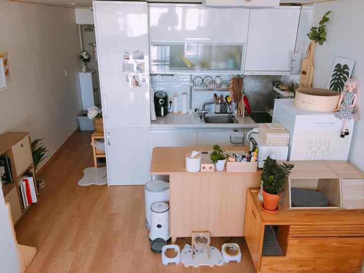 A bright kitchen space featuring white cabinets and natural wood tones, accented by organized pet accessories creating a cozy atmosphere