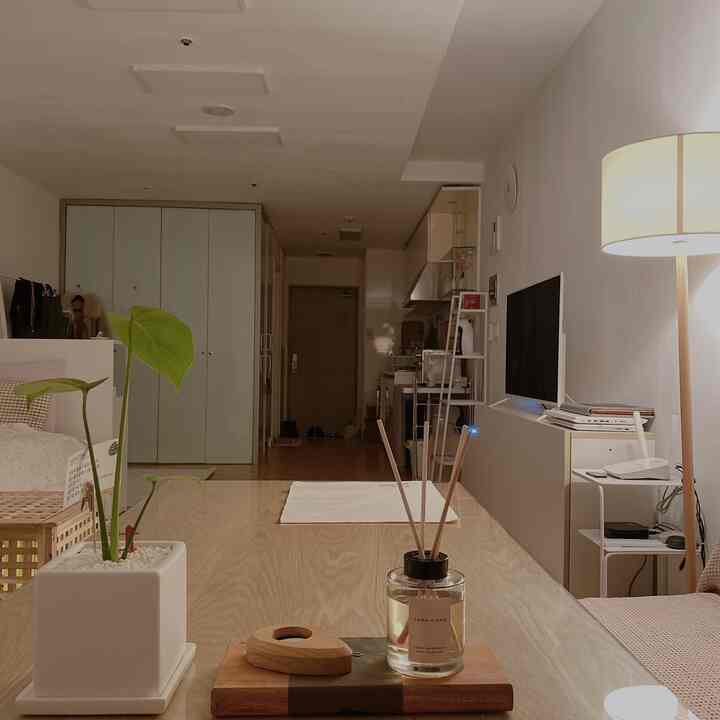 Natural modern studio apartment living and bedroom area combining white and wood tones