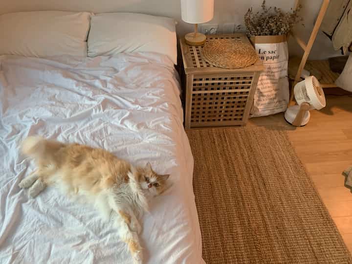 Natural toned bedroom featuring white bedding, wooden side table, and rattan rug with a fluffy cat lying on the bed