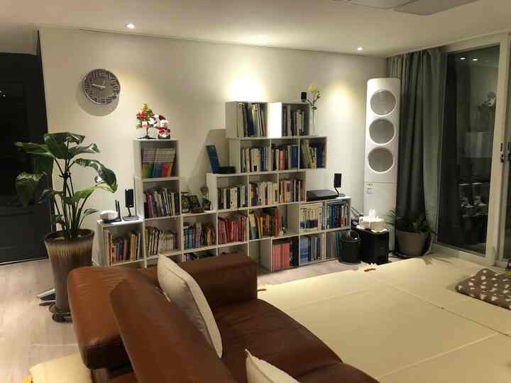 Natural toned living room featuring a brown leather sofa and large white bookshelf, creating a cozy reading space