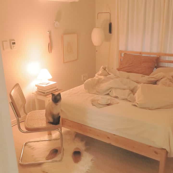 Cozy and warm bedroom with beige and wood tones featuring a cat sitting on a chair